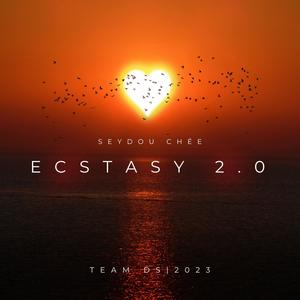 Ecstasy 2.0