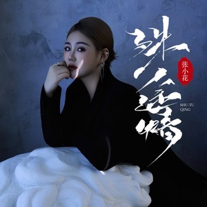 殊途情封面