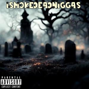 ISMOKEDEADNIGGAS (Explicit)