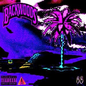 LIFE'S A BLUR. (feat. Zyroh) (Explicit)