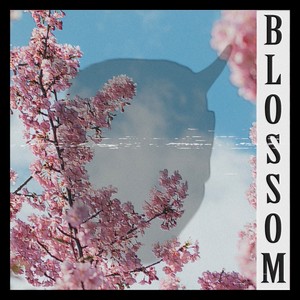 Blossom