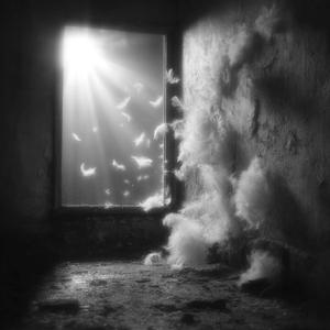 Window Pain (Explicit)