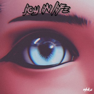 Joy in Life (Slowed) (Explicit)