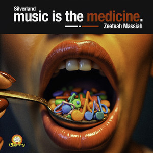 Music Is the Medicine (Radio Edit)