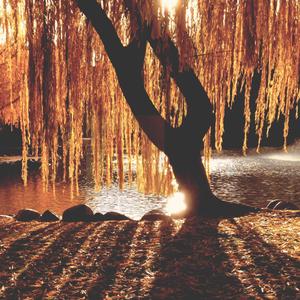 October (Live Acoustic)