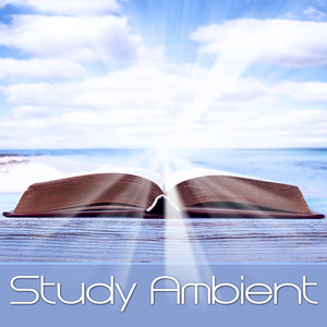 Study Ambient (focus, study music, music for concentration, relaxing, relaxation, ambient music, study hard, studying music, brain music, memory and concentration for exam, brain power)