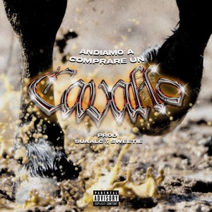 Andiamo a comprare un cavallo (Explicit)