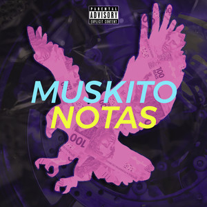 Notas (Explicit)