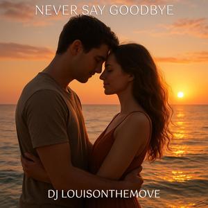Never Say Goodbye (feat. Logan Hayes)