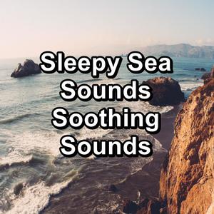 Wave Sounds For Easy Sleep Relaxing and Loopable 10 Hours