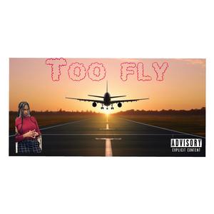 Too Fly (Explicit)