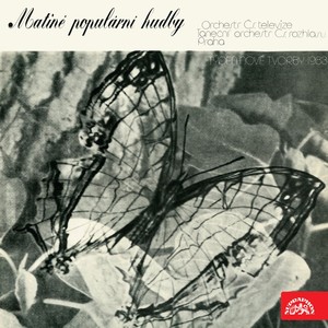 Každý Den Tě Potkávám