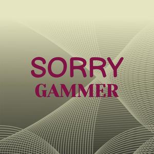 Sorry Gammer