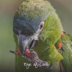 Eye of Love