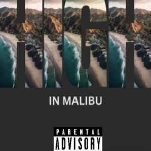 Malibu (Radio Edit) [Explicit]