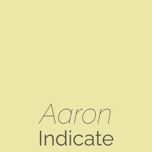 Aaron Indicate