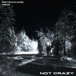 NOT CRAZY (feat. remi) [Explicit]