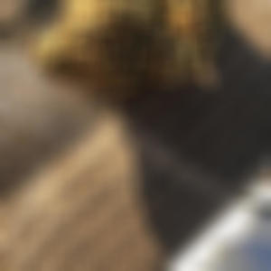 INESTABLE (Explicit)