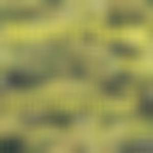 Mari's Song (Remix - Produced by Anno Domini Nation|Explicit)