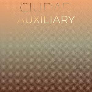 Ciudad Auxiliary