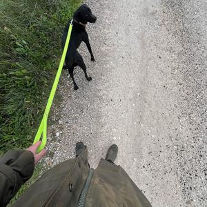 save my nut (feat. luxxisdead) (Explicit)