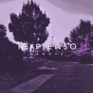 Te pienso