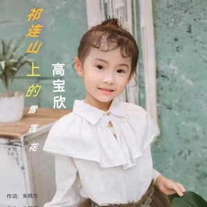 祁连山上的雪莲花 (伴奏)
