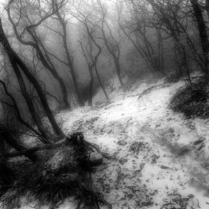 Вечно холодный (Prod. By janecocaine + cchhpmn + luvxomea|Explicit)