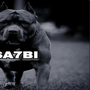 SA7BI (Explicit)