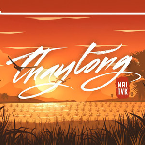 Thay Lòng (Đại Mèo Remix)