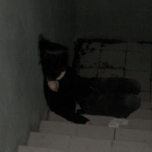 I Dream About You Now