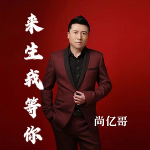 来生我等你