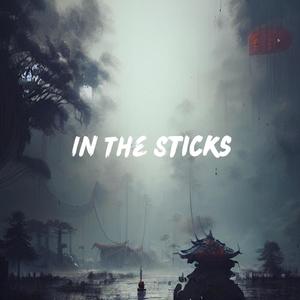 In The Sticks (Explicit)