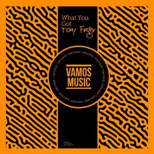What You Got (Alternative Mix)