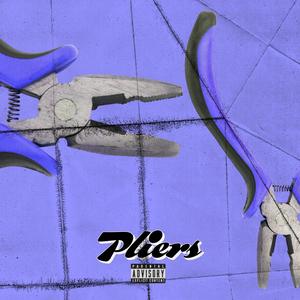 Pliers (feat. Chad Kreda) [Explicit]