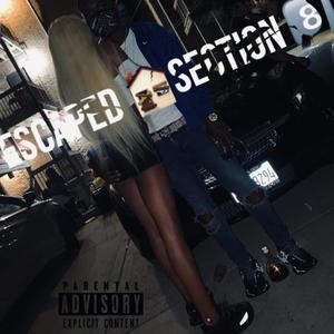 ESCAPED SECTION 8 (Explicit)