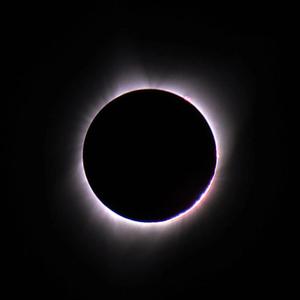 THE DEVIL'S GARDEN (feat. Mr Vibes)