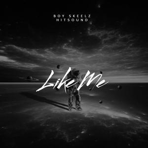 Like Me(feat. Hitsound)