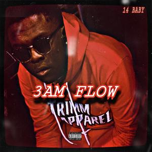 3AM FLOW (Explicit)