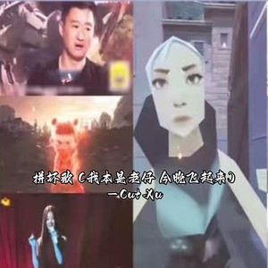 拼坏歌 (我本是老仔 今晚飞起来)