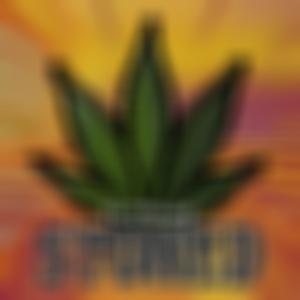 Stoned (feat. YYG Jay) (Explicit)