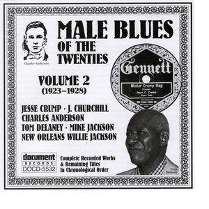 Male Blues Of The Twenties Vol. 2 (1923-1928)