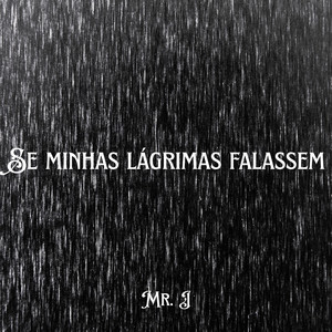 Se Minhas Lágrimas Falassem