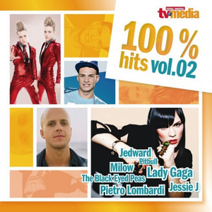 TV Media 100% Hits Vol. 02