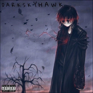 Dark Sky Hawk