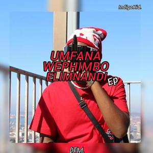 UMFANA WEPHIMBO ELIMNANDI