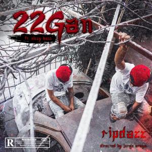 22GAN (feat. Nizzyboss) [Explicit]