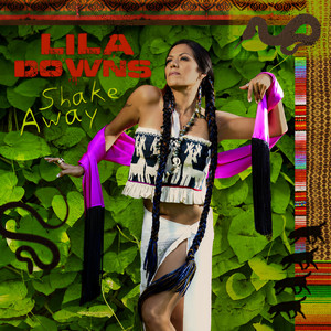 Lila Downs - I Would Never