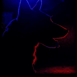 Get Me Lit (Explicit)