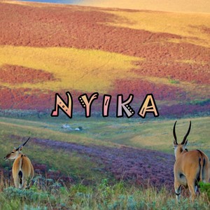 Nyika